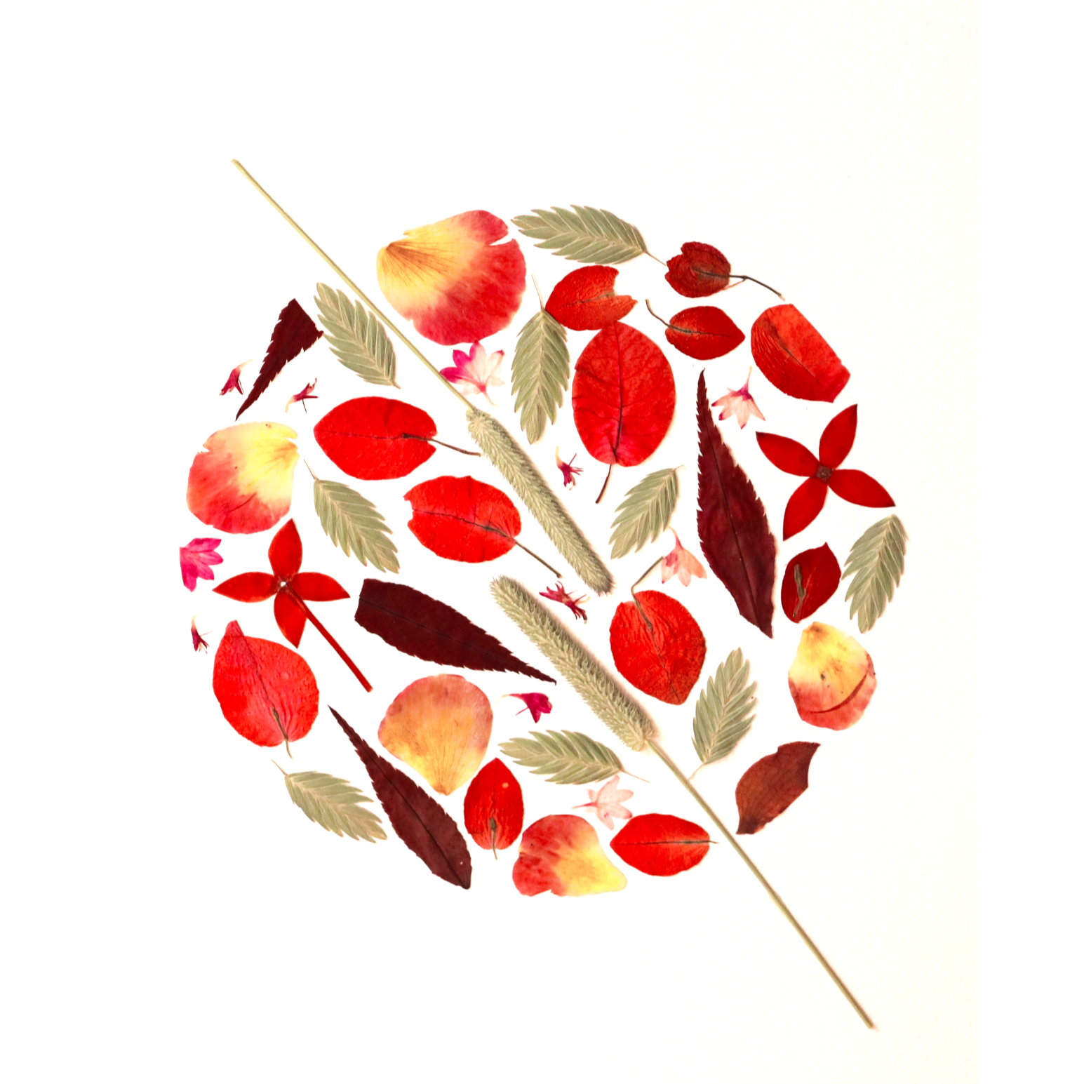 FLOWER+PRESSING+%283%29.png