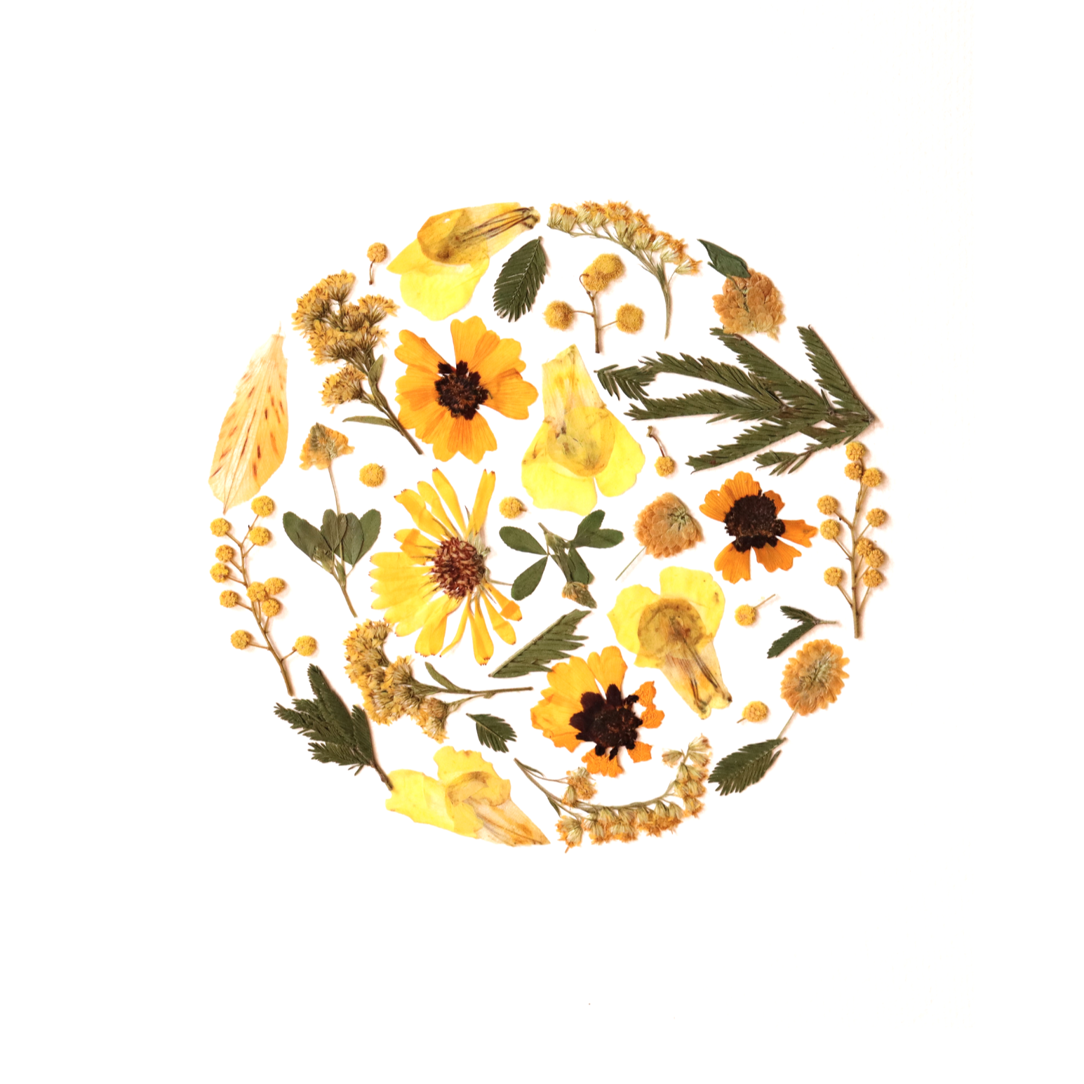 FLOWER+PRESSING+%284%29.png