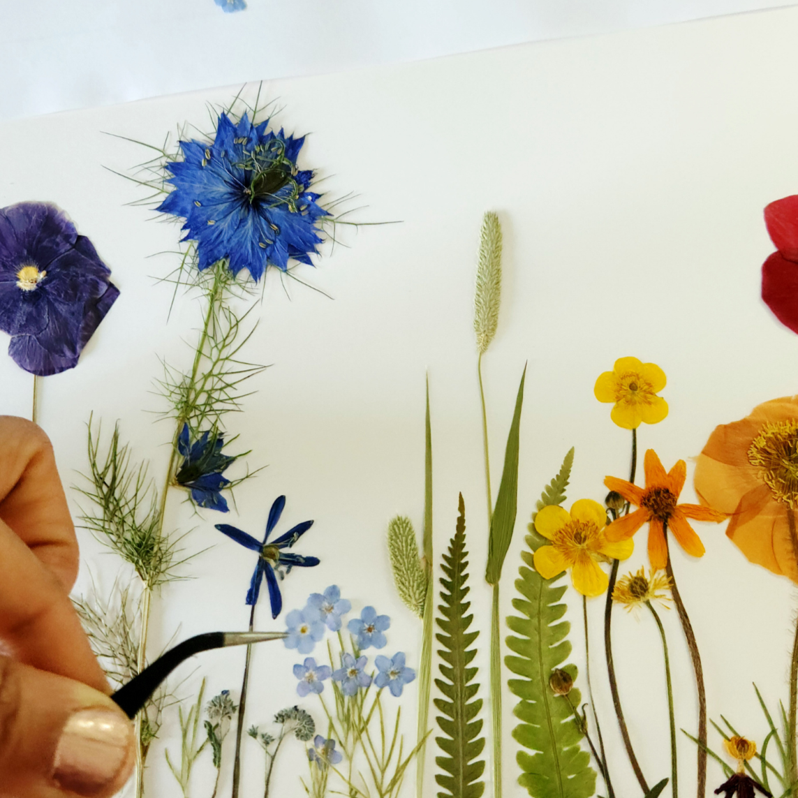 FLOWER+PRESSING+%286%29.png
