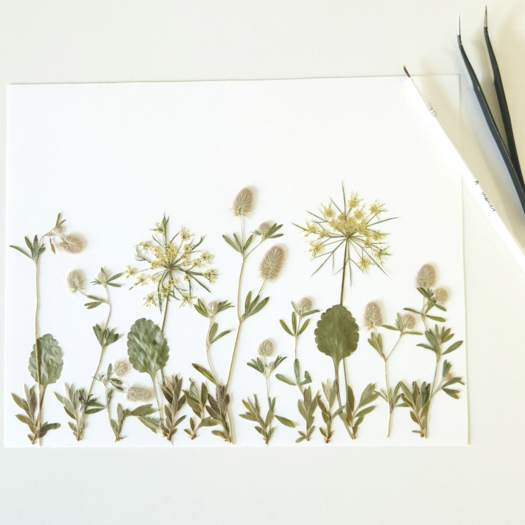 FLOWER+PRESSING+%287%29.png