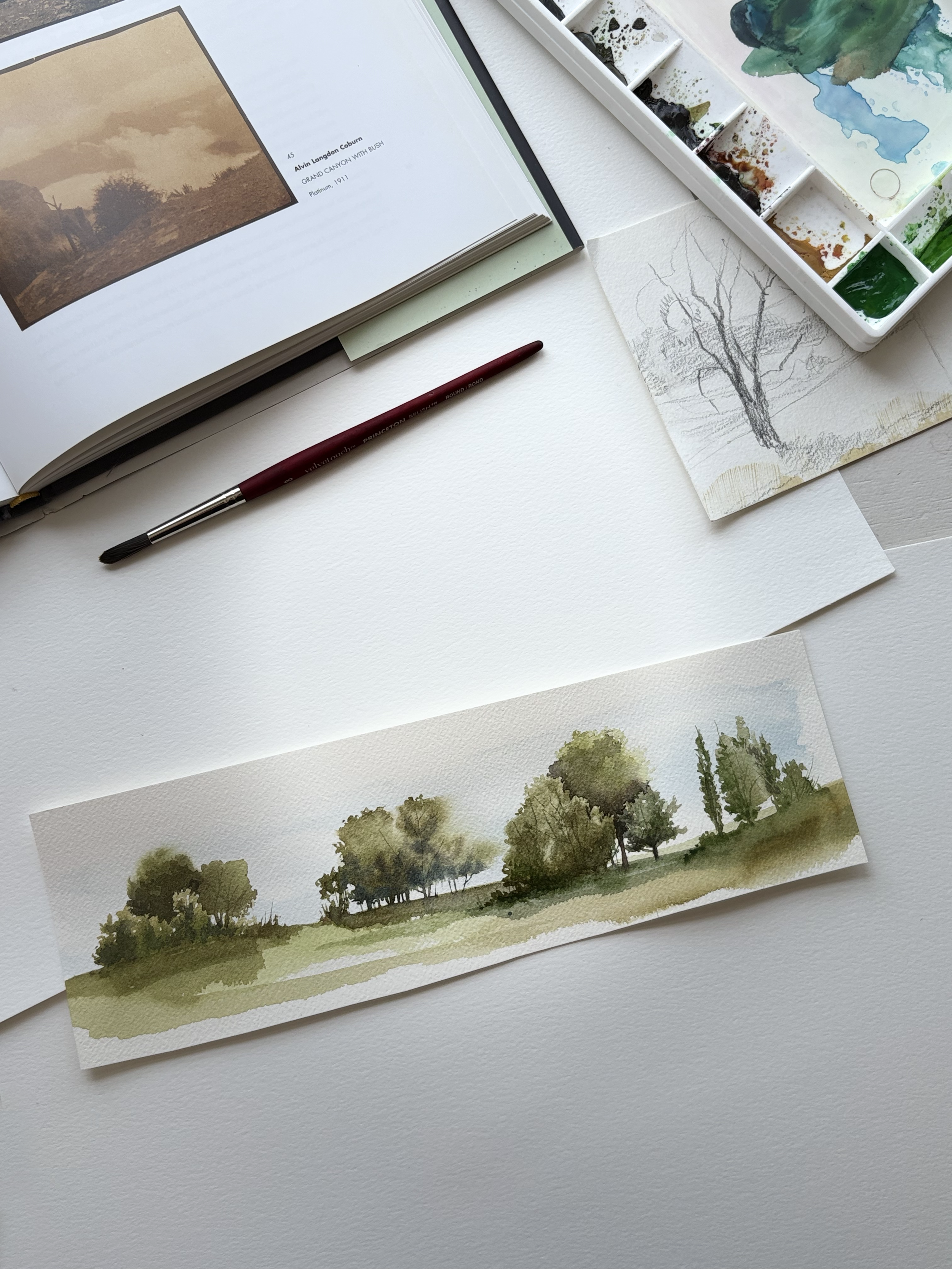 tree workshop image 6.png