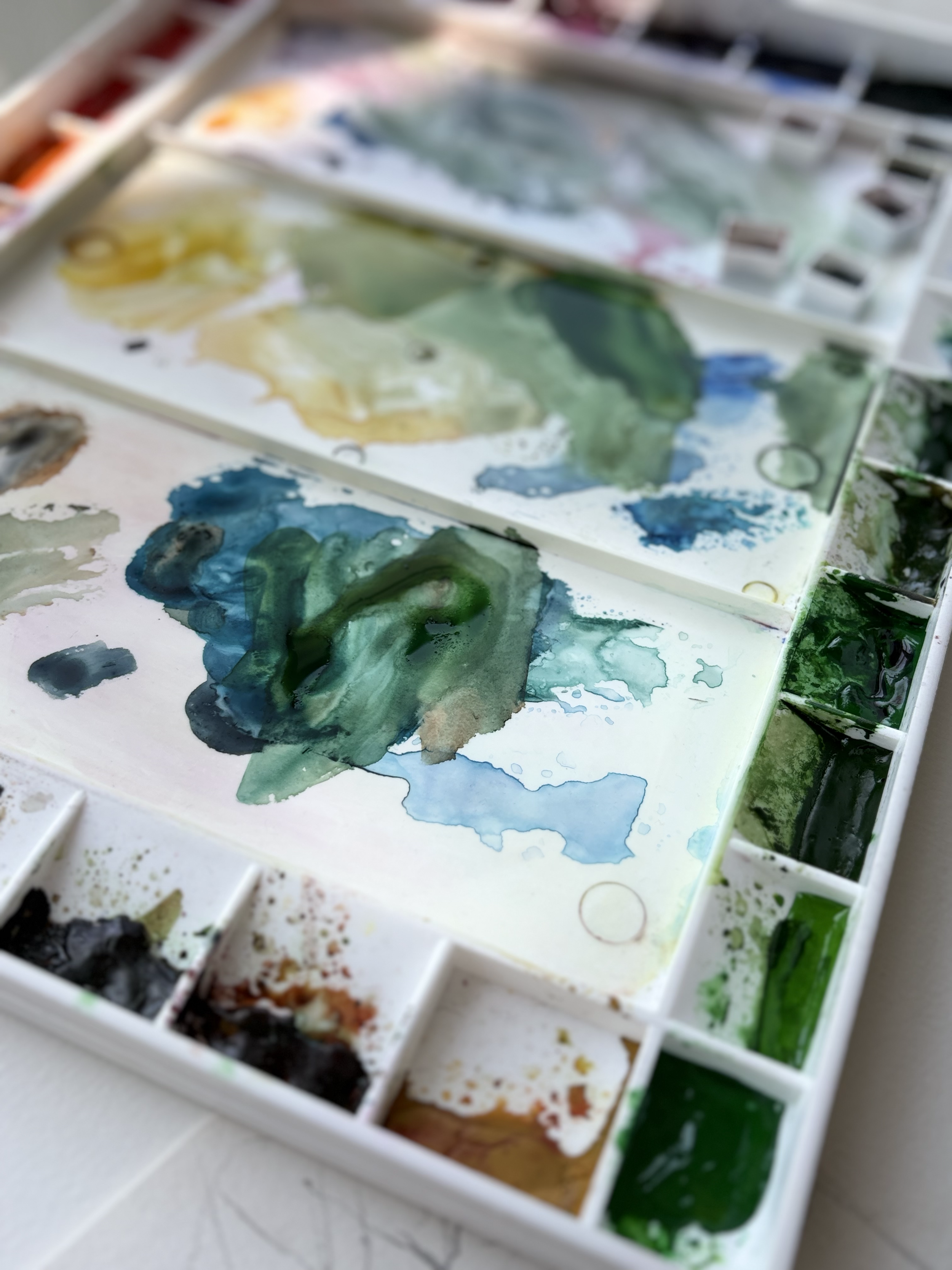watercolour palette workshop image .png