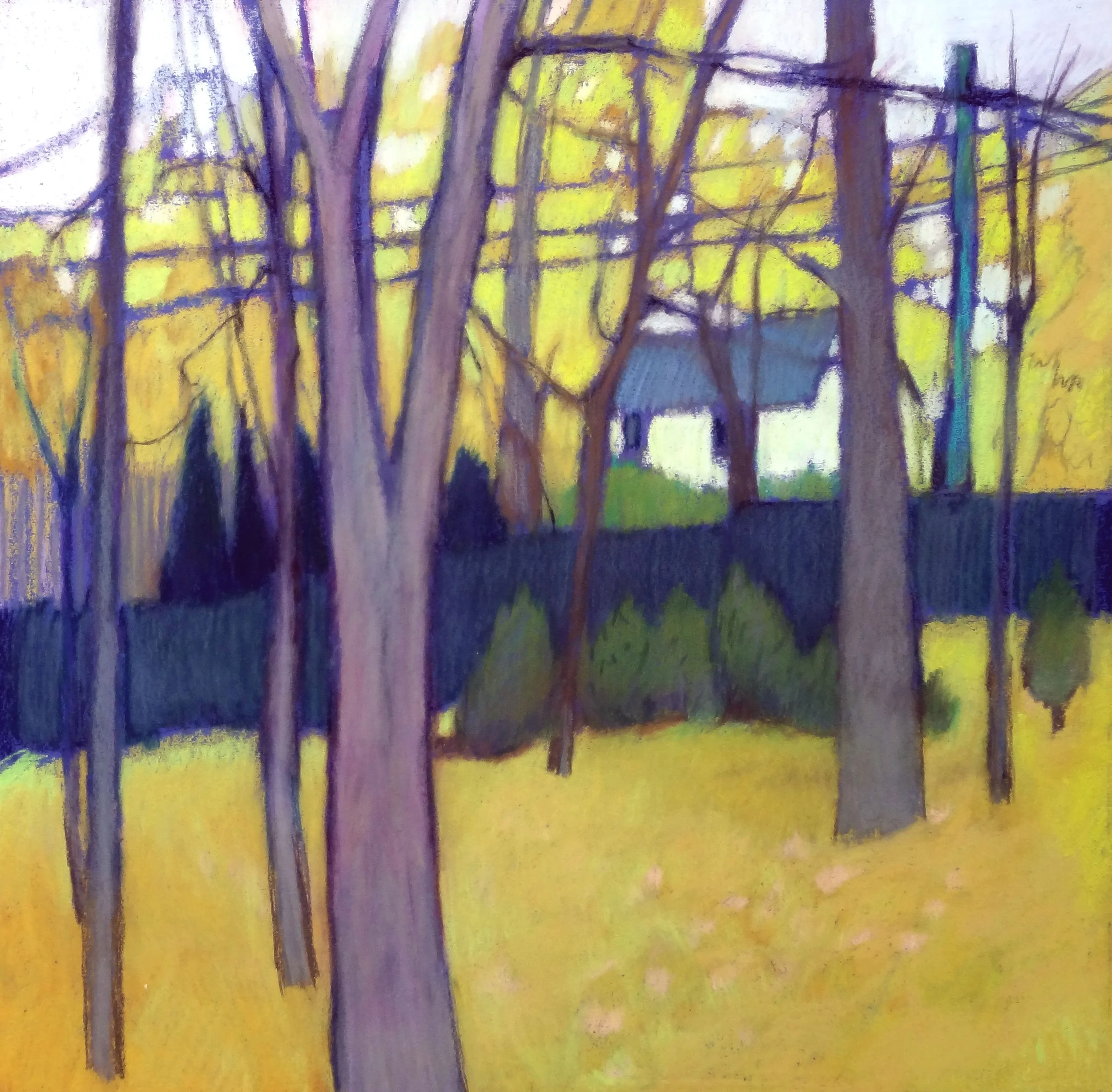 Yellow18.5x18.5.JPG