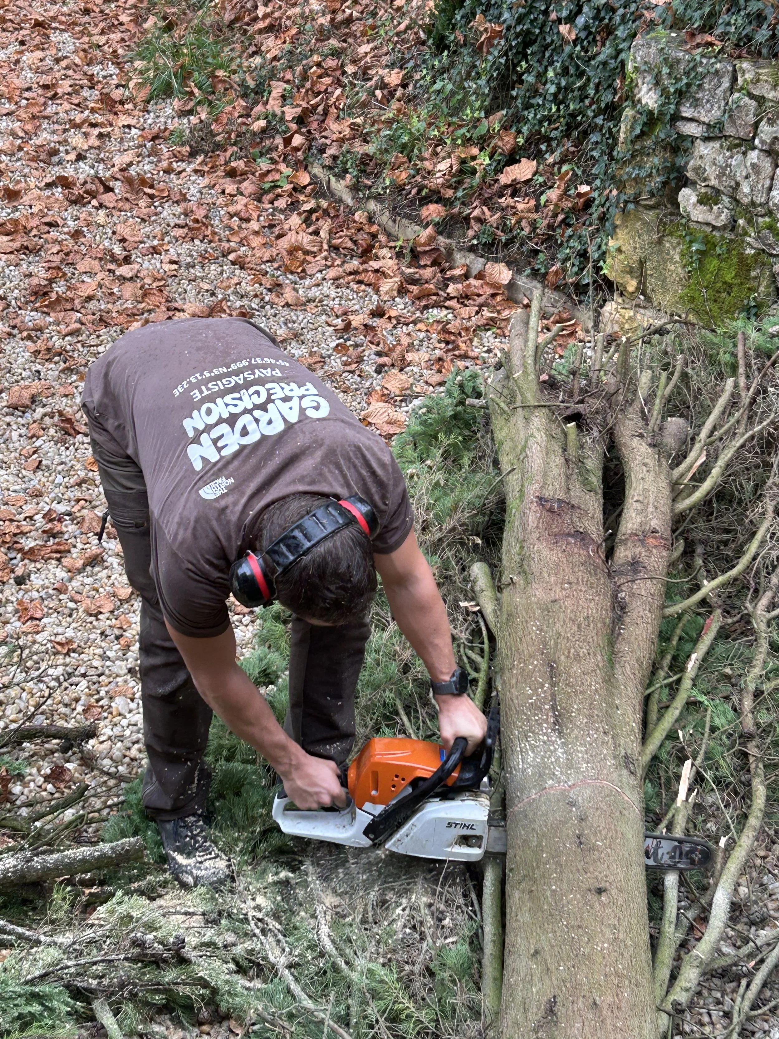 Icône bâtiment écologique