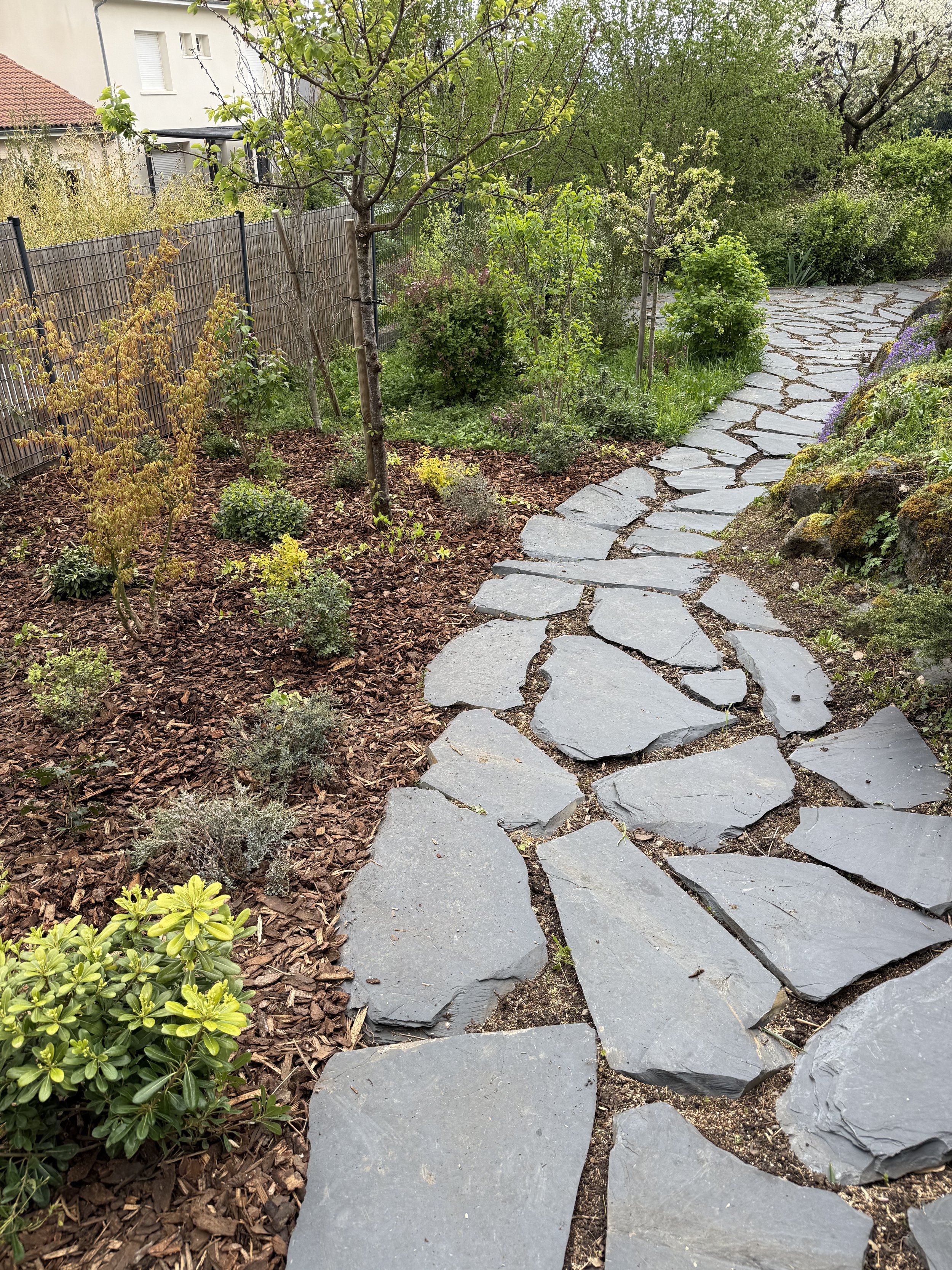 Chemin en pierres plates serpentant à travers un jardin verdoyant avec diverses plantes et buissons.