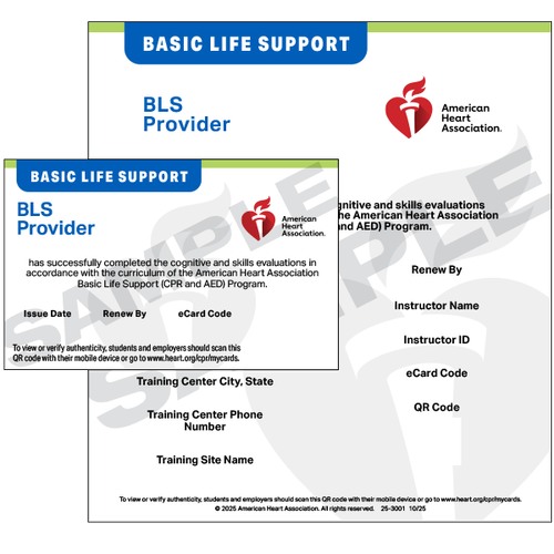 BLS Provider training