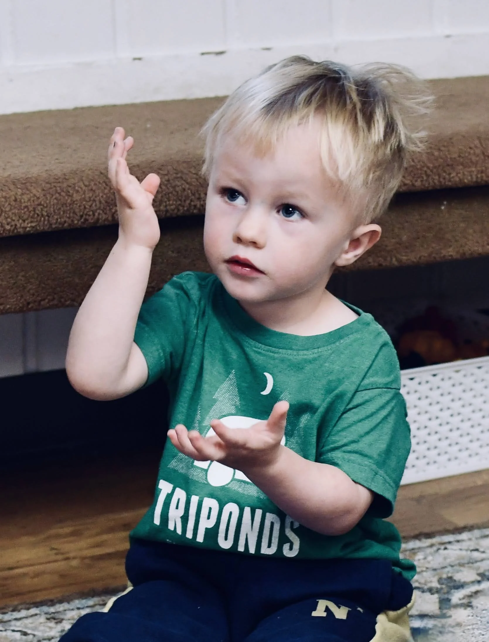 A young boy with blonde hair and blue eyes, wearing a green T-shirt with the words 'TRIPONDS' and graphics of a tree, moon, and mountain, seated on a rug in a room with brown carpeted stairs in the background, looking up and gesturing with his hands.