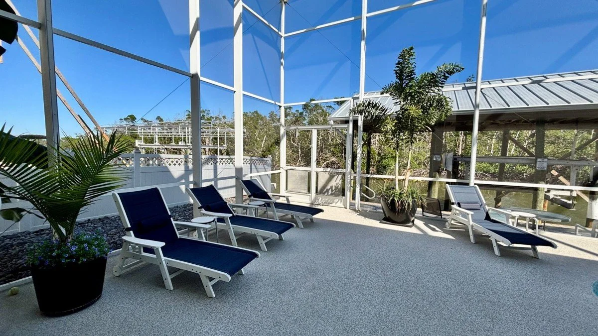 Poolside area with five black lounge chairs, large potted plants, and a screen enclosure on a sunny day.
