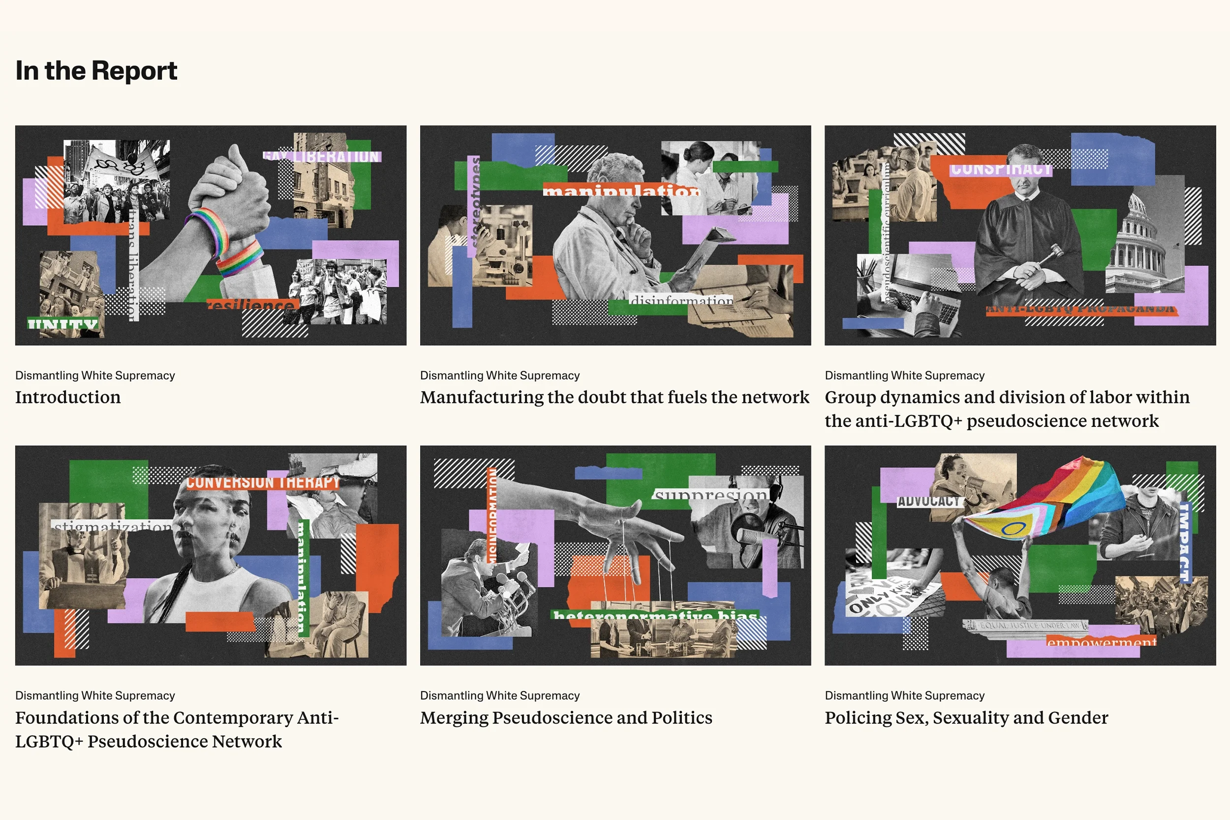  Narrative visual direction and commissioned illustrations for pseudoscience research report.  
Studio/Client: Southern Poverty Law Center—  View more on Behance  ; Role: Art Direction; Illustrations by  Andrei Cojocaru 