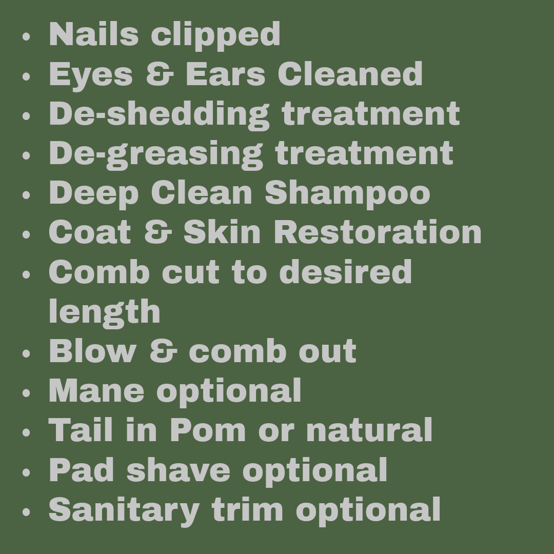 List of grooming services and steps, including nail clipping, eye and ear cleaning, shedding and greasing treatments, deep cleaning shampoo, coat and skin restoration, haircut, blowout, mane and tail styling, and optional grooming extras.