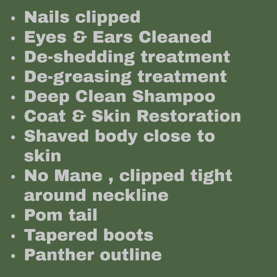 A list of grooming and styling tasks written in bold, gray text on a dark green background, including nail clipping, eye and ear cleaning, de-shedding and de-greasing treatments, deep clean shampoo, coat and skin restoration, close shaved body, no mane clipped tight around neck, pom tail, tapered boots, and panther outline.