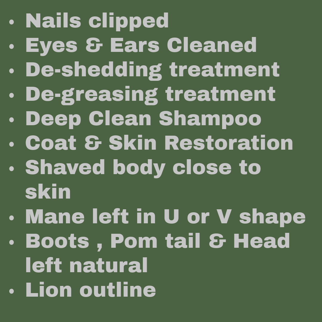 List of grooming steps for a lion, including nails clipped, eyes and ears cleaned, shedding and de-greasing treatments, deep clean shampoo, coat and skin restoration, shaved body close to skin, mane left in U or V shape, boots, pom-pom tail, and head left natural, with a lion outline.