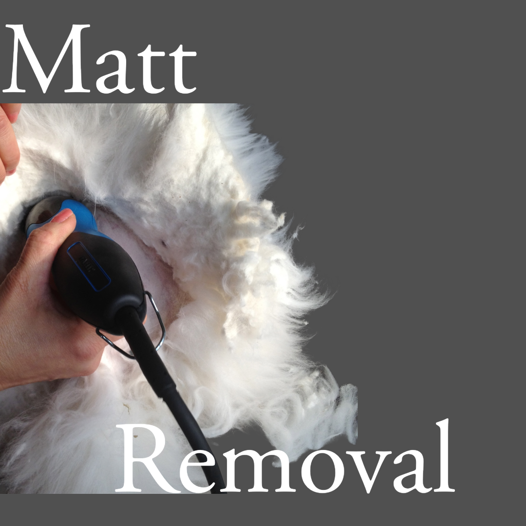 cat mat removal , Cat Grooming 