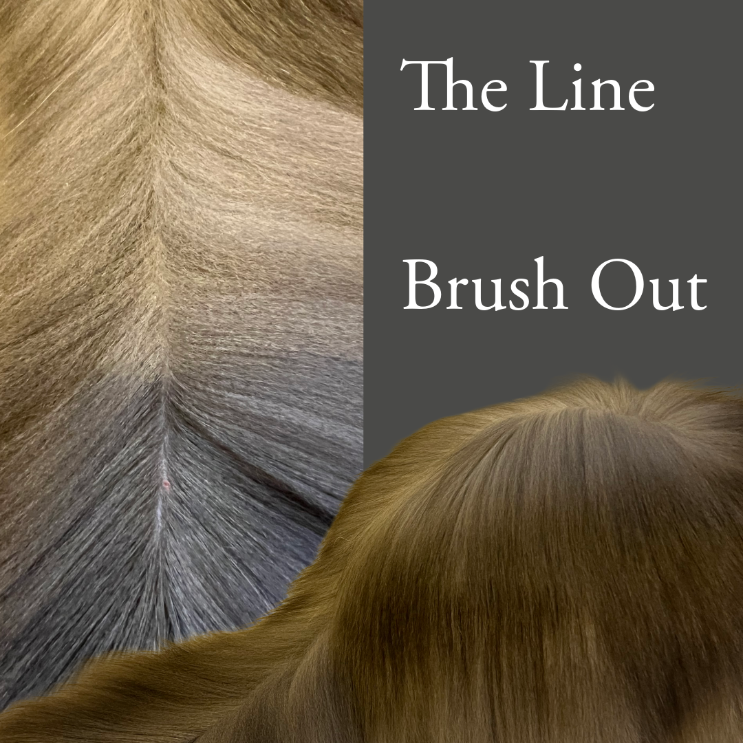 Line Brushing