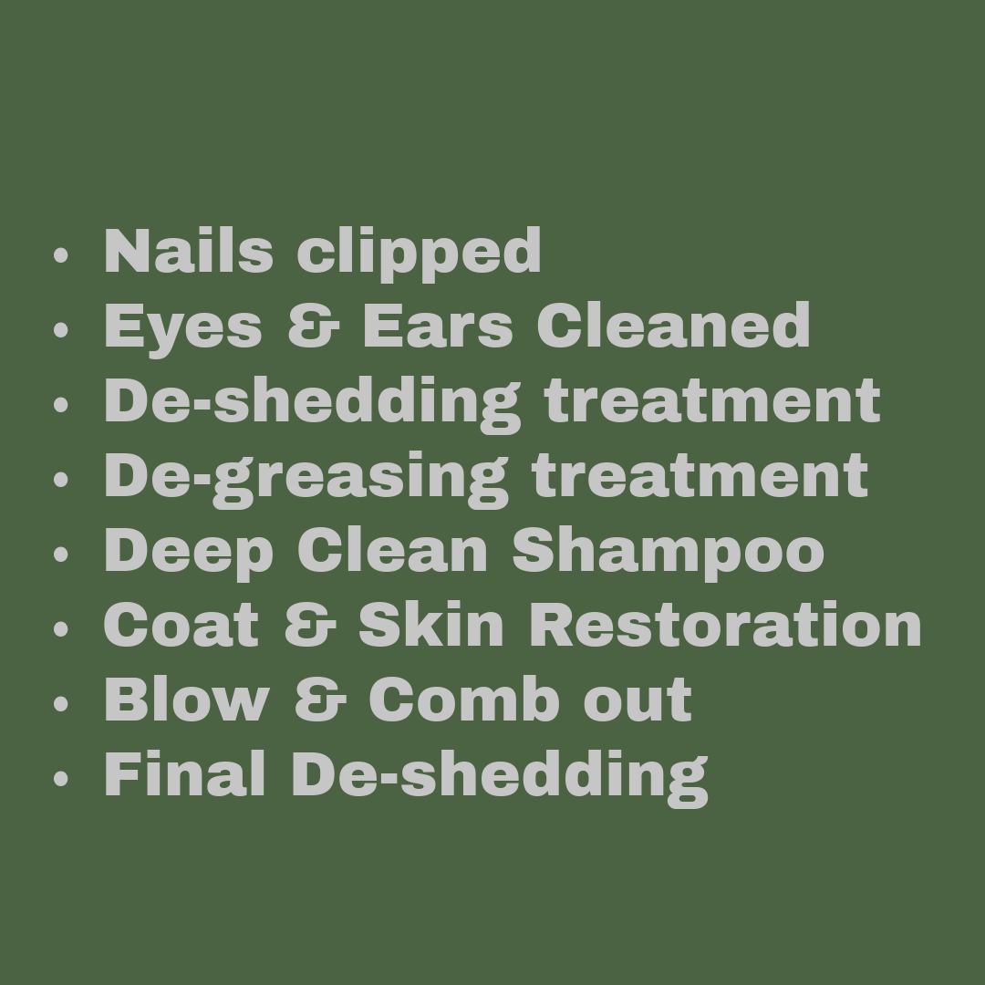 List of grooming services on a dark green background, including nails clipped, eyes and ears cleaned, de-shedding treatment, de-greasing treatment, deep clean shampoo, coat and skin restoration, blow and comb out, final de-shedding.