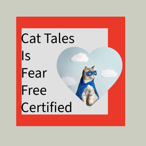 Fear Free certified Cat Groomer