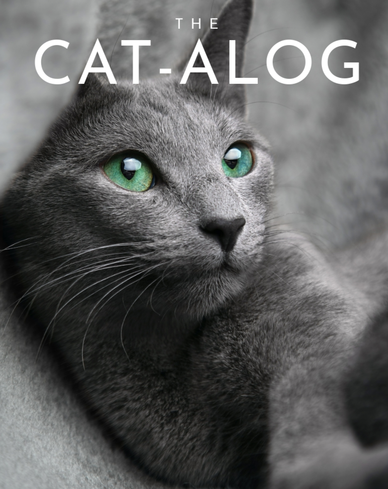 Close-up of a gray cat with green eyes lying on a soft surface, with text overlay that reads "The Cat-alog."