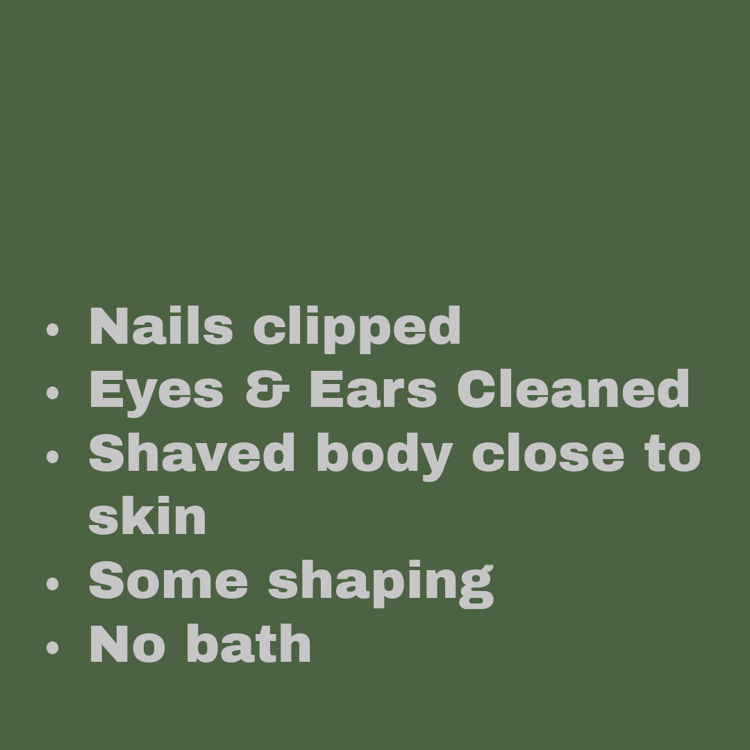 Bullet points detailing personal grooming steps, including nails clipped, eyes and ears cleaned, shaved body, some shaping, and no bath.