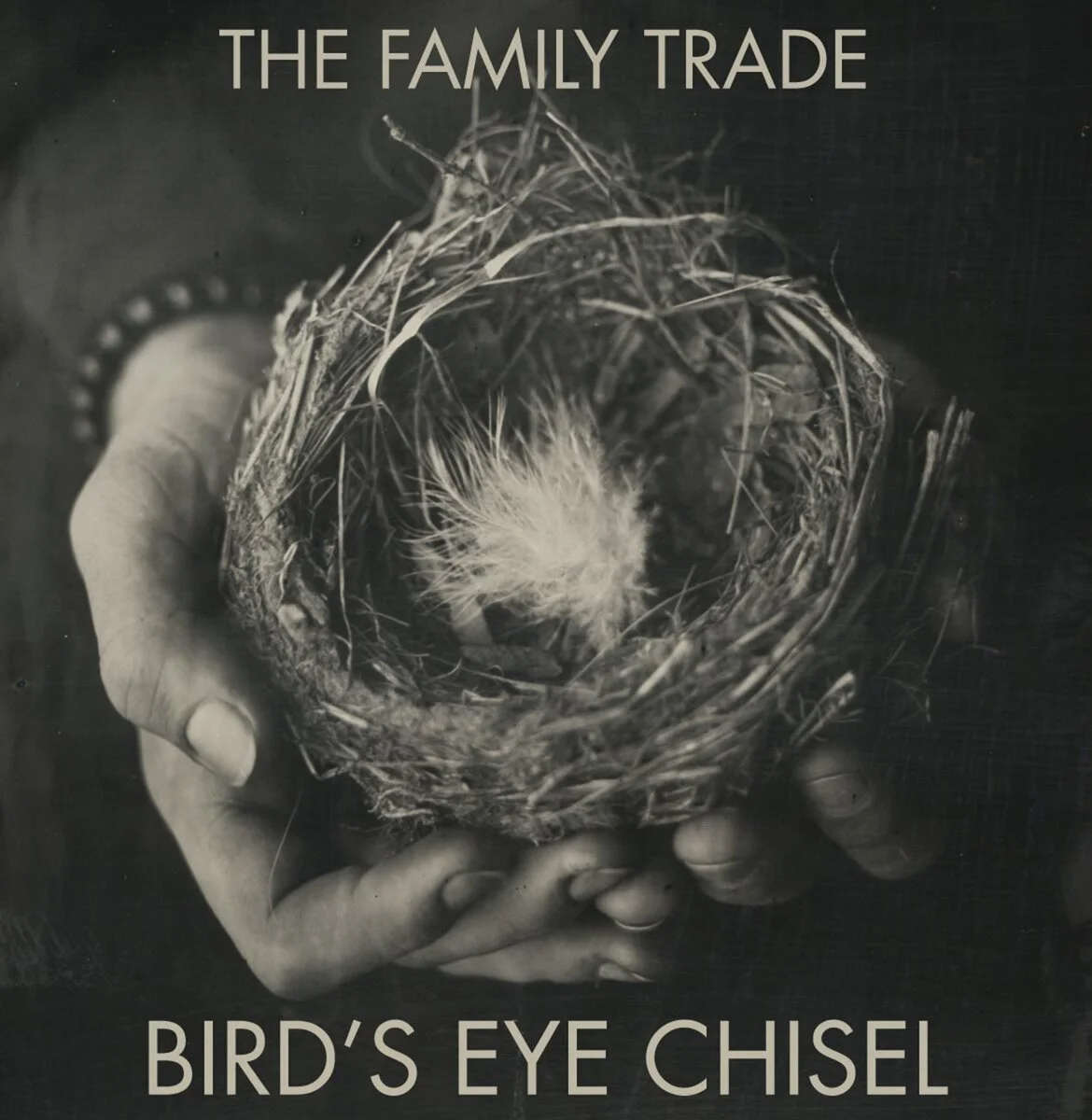 bird's eye cover.jpg