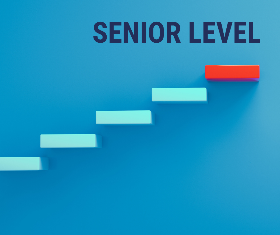 senior level employee career advancement resume writing services