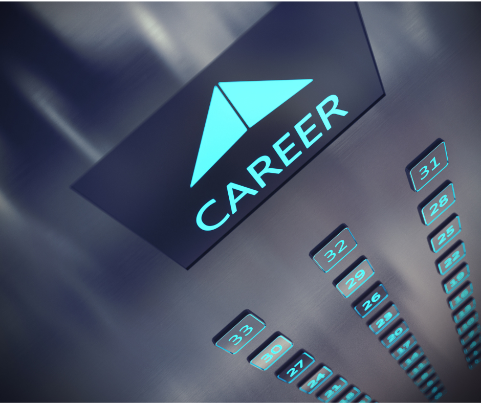 mid-career senior level professional resume writing service