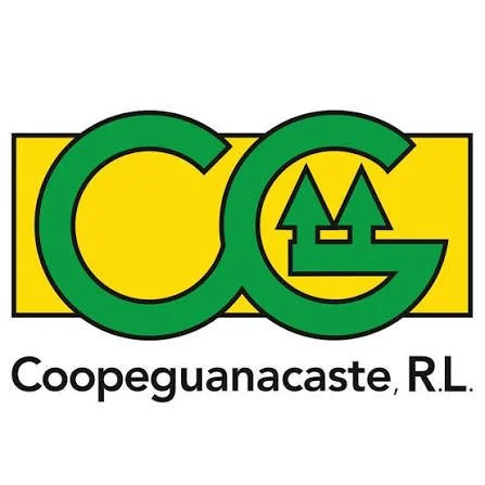 Coopeguanacaste autopay setup for homeowners in Guanacaste Costa Rica