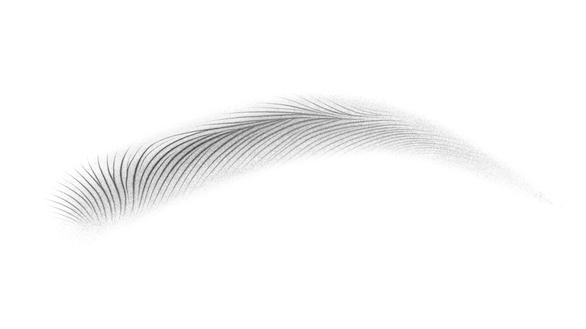 Wenkbrauwvorm ter illustratie van combi brows ( powder brows + hairstrokes ) techniek.