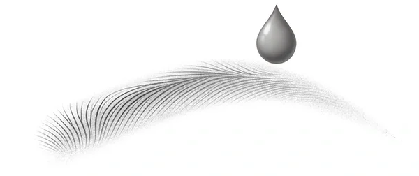 Close-up of a single gray water droplet above a curved feather on white background.