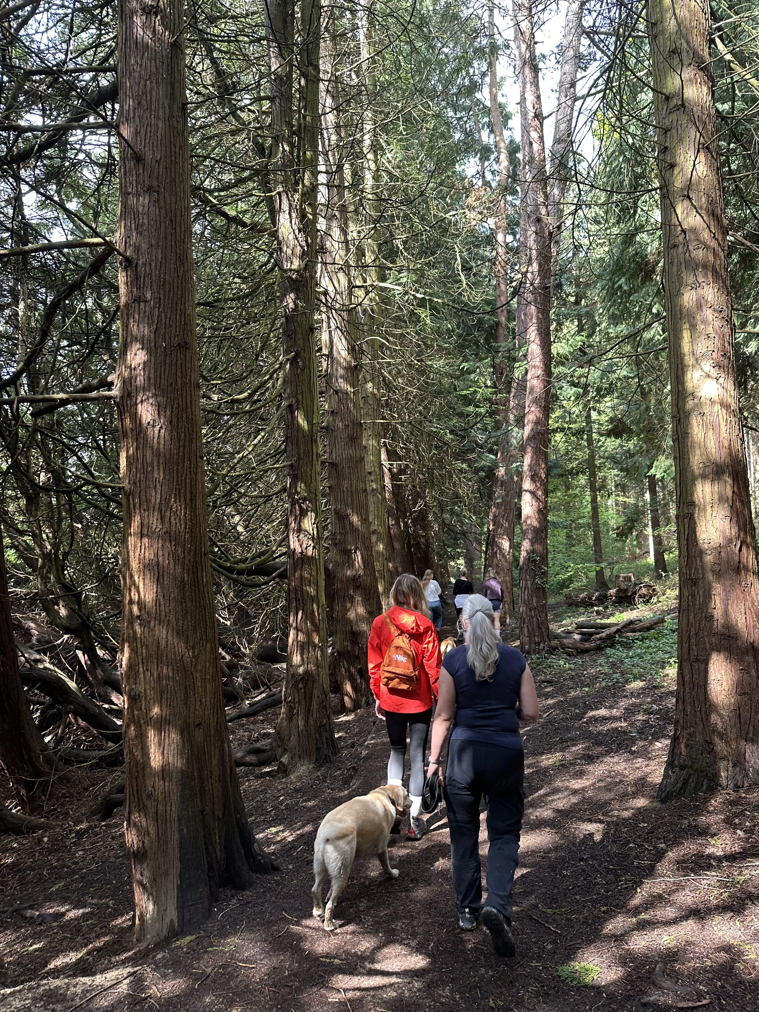 Women’s Walk &amp; Talk Group 