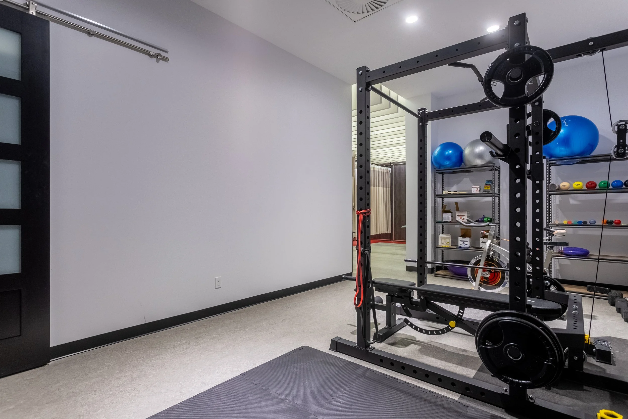 Salle de sport avec une cage de musculation, un vélo d'exercice, des ballons de gymnastique bleus et argentés, et une étagère avec des poids et du matériel de fitness.
