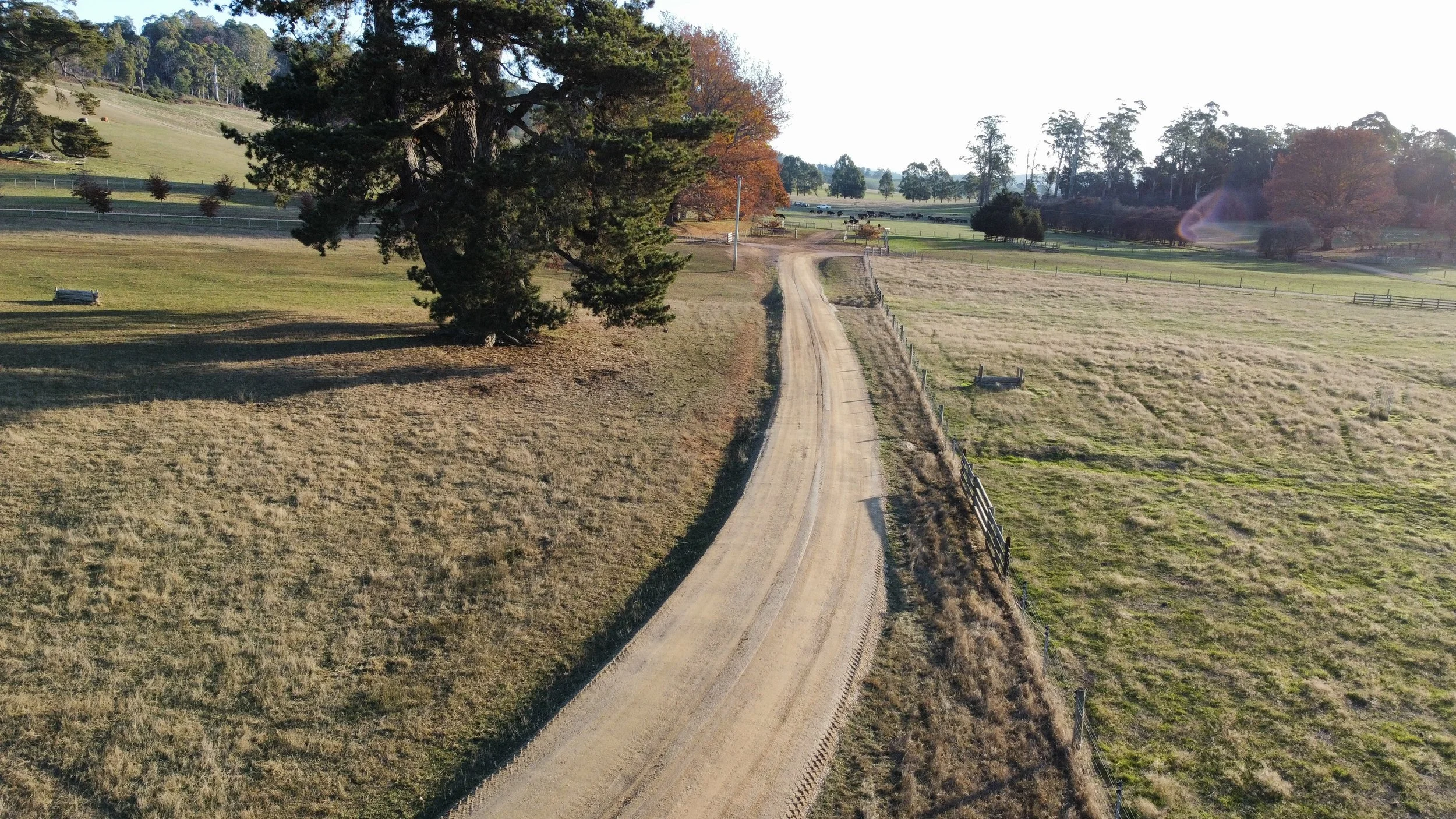 dji_fly_20250521_154726_402_1747806458635_photo_optimized.jpg