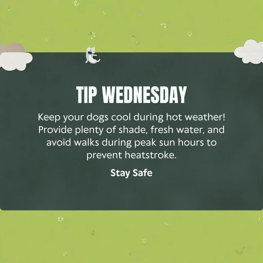 Tip Wednesdays !! Heatstroke is serious, keep your furry friends safe or help spread awareness #dogzfordayz  #packlife🐾❤️