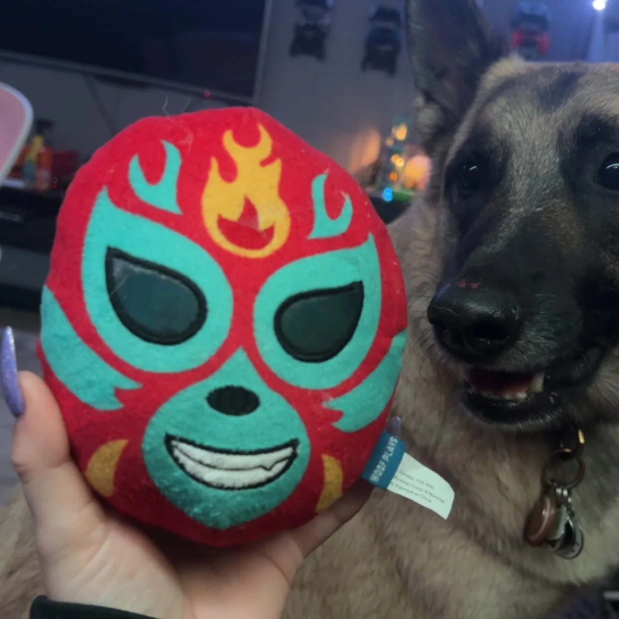 FUN ENGAGEMENT FRIDAYS 

Meet PEACH
 She is an energetic pup who enjoys swimming, playing fetch, and snuggling with her mama #FunFriday #DogzForDayz