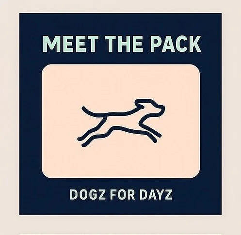 MEET THE PACK 
Meet Lea
Give a warm welcome to our sleepy, kiss-loving, belly-rub-obsessed girl!