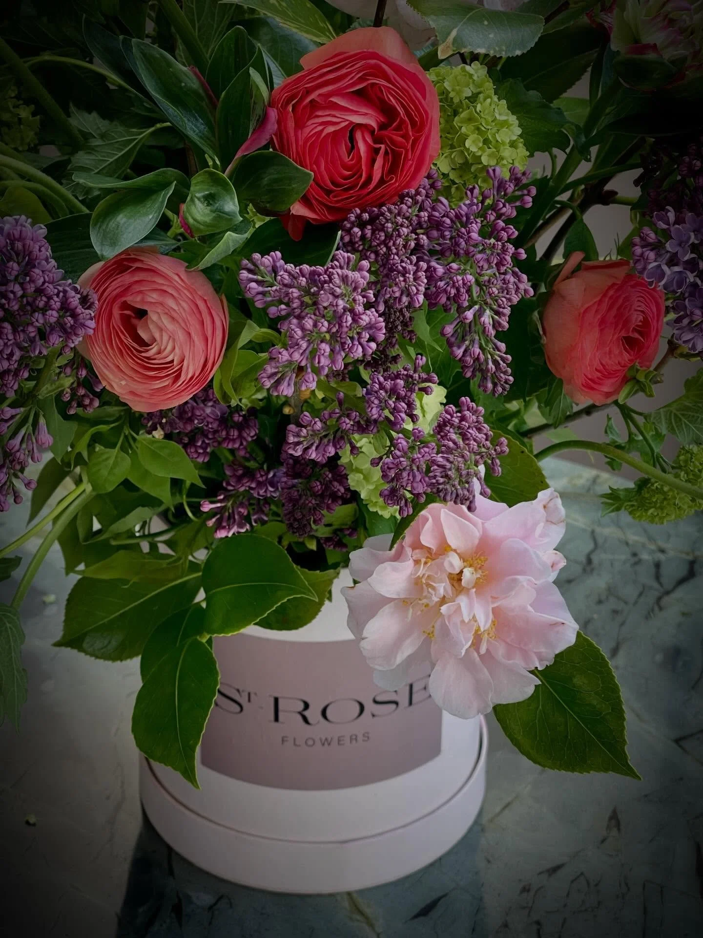 Saint &Eacute;lan: Lilac&amp;Camelia

Not a floral arrangement. A presence.

Camellia in blush, lilac in haze&mdash;softness, held in tension with the cut of lime viburnum. Peach ranunculus bring a muted warmth; flashes of fuchsia alstroemeria sharpe