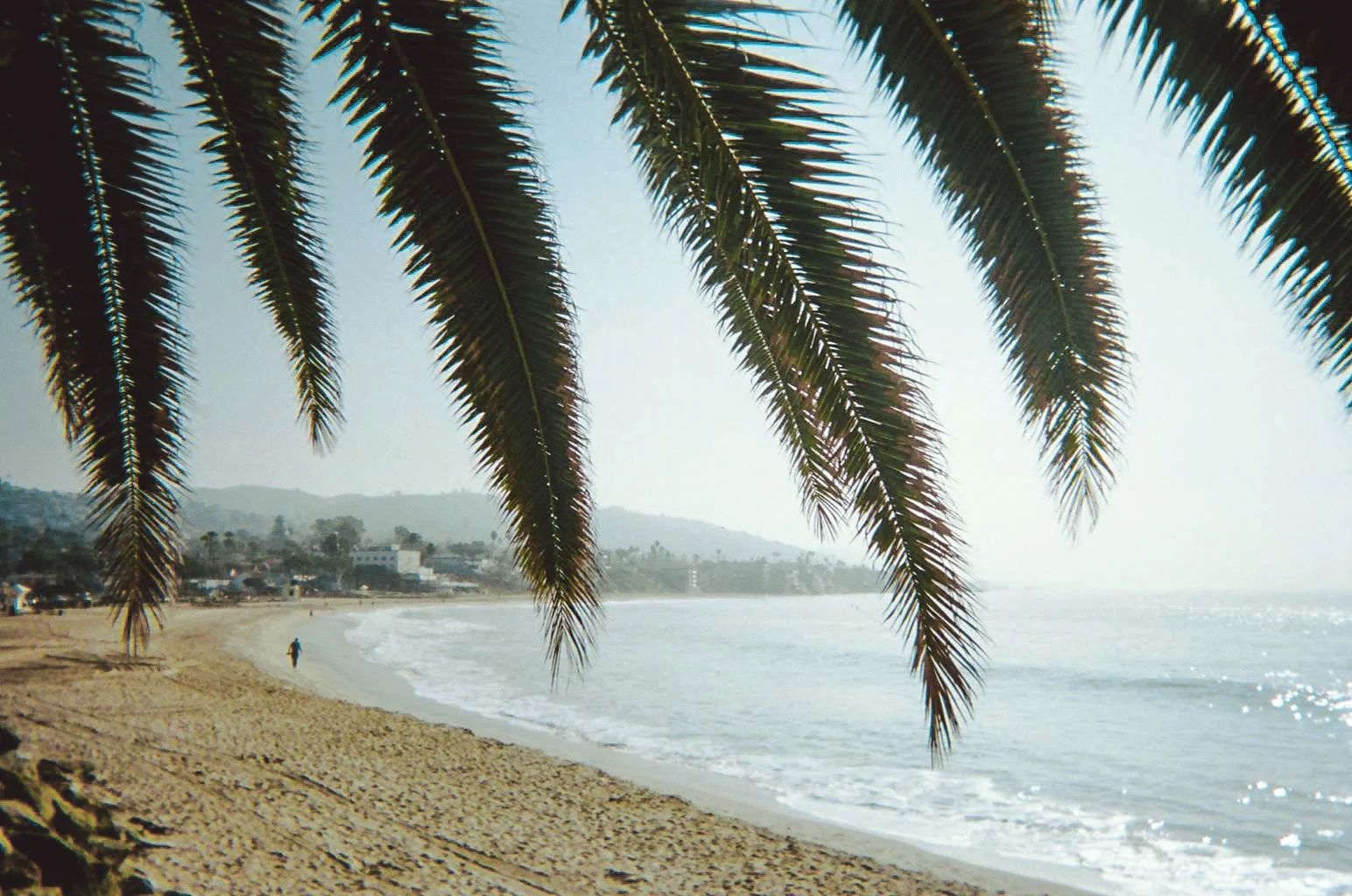 Capri-Film--17.jpg