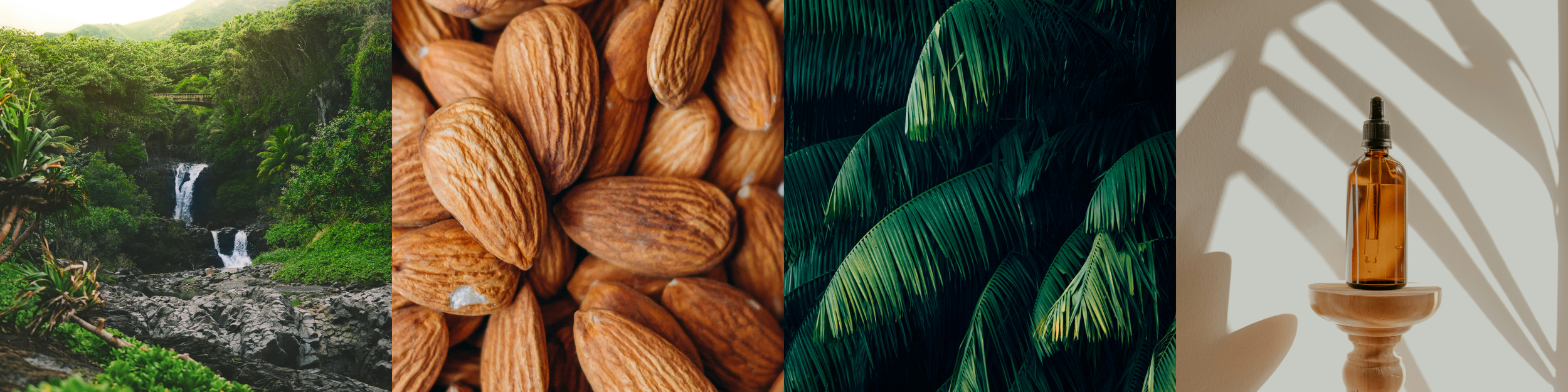 Four images in a banner, first image is of jungle waterfall, second is a close-up of almonds, third is of lush green plants, and last image is a serum bottle on a stool