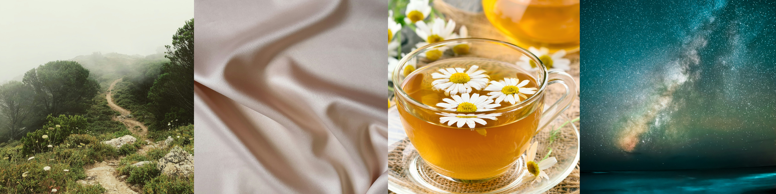 Four image banner - trail going up a hill with fog rolling in, silk sheets, camomile tea, night starry sky