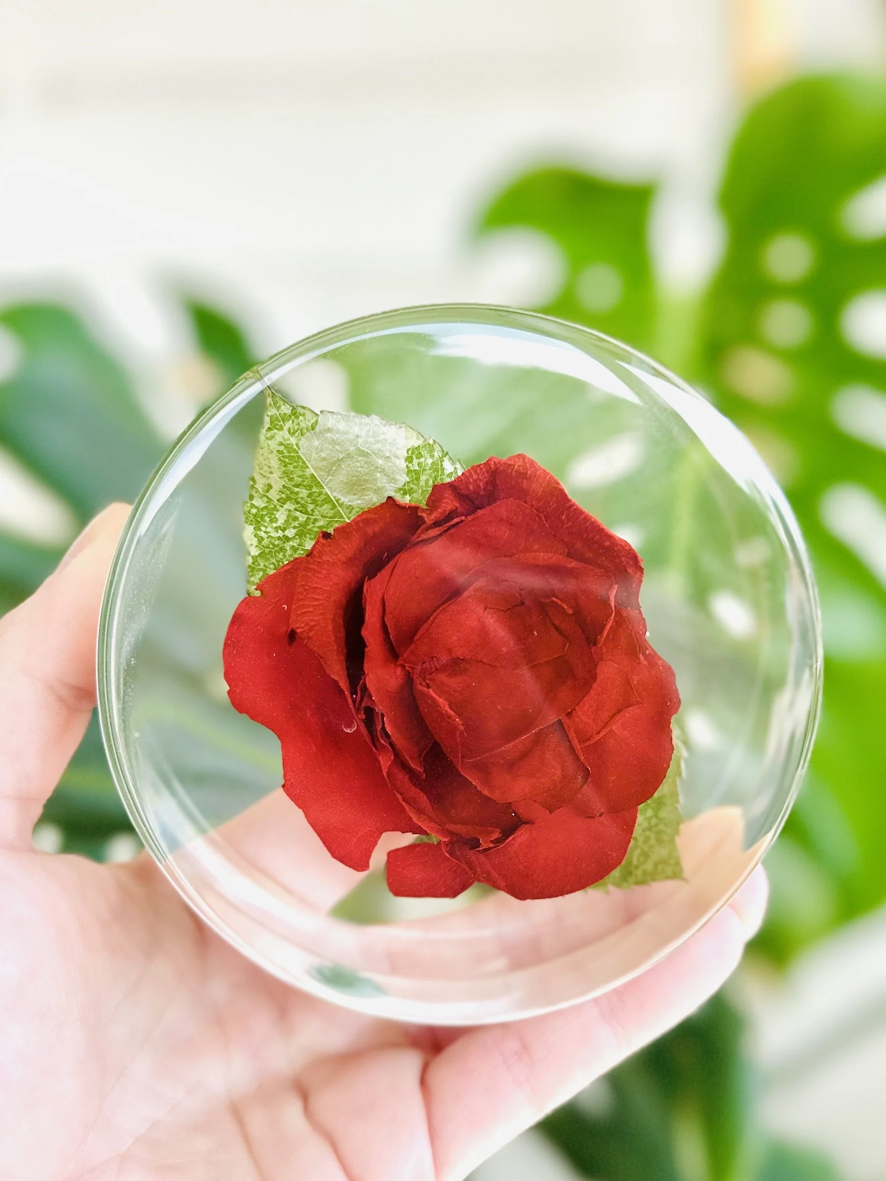 wedding flower preservation in resin floral coaster