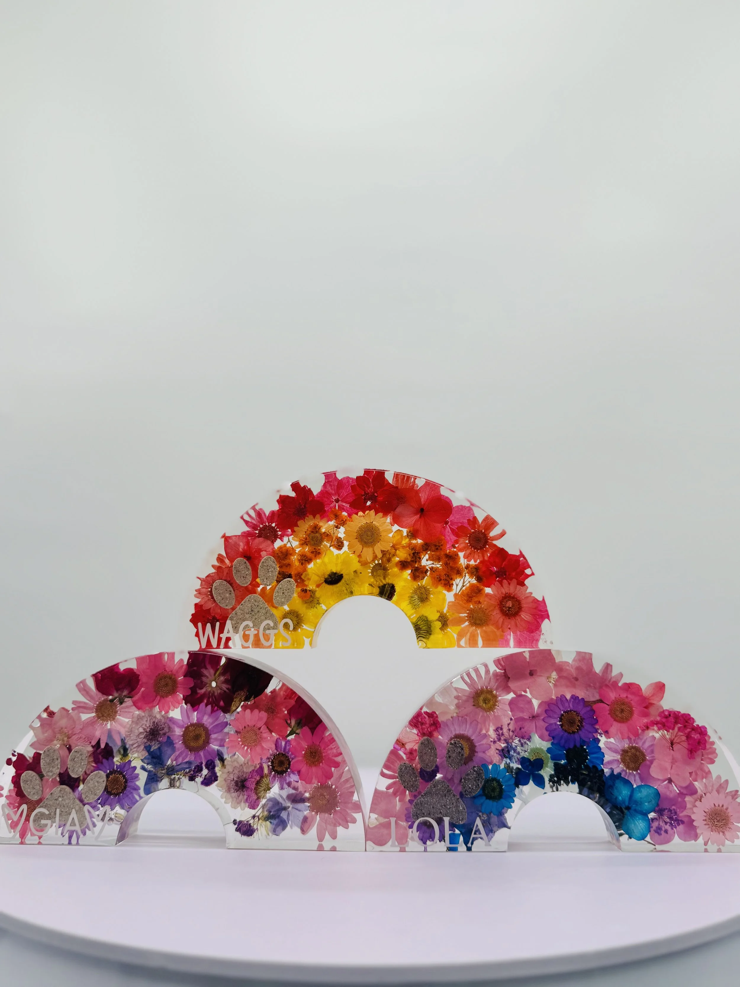 rainbow pet memorial with paw print and flowers