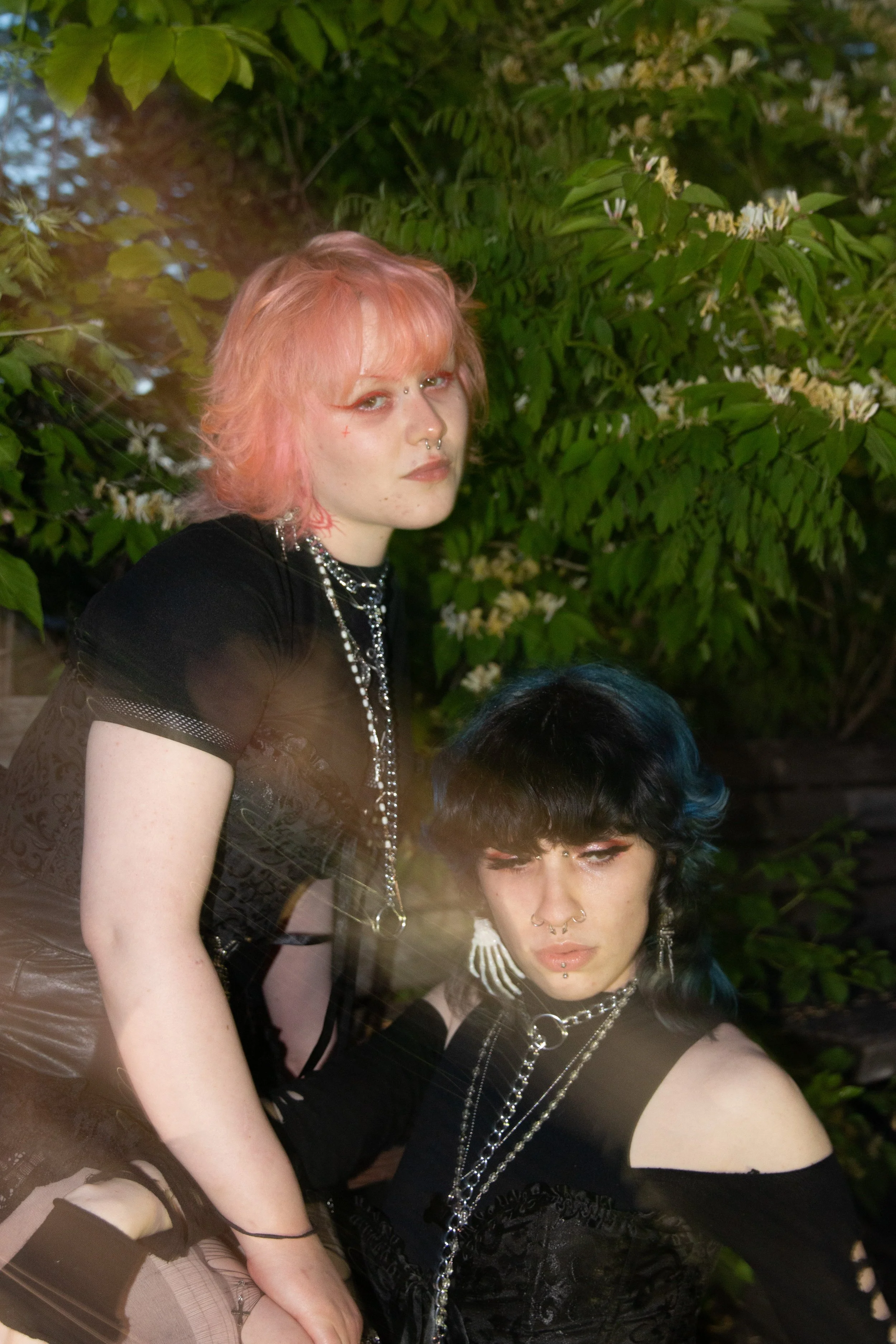 Sunny Shoot 3.jpg