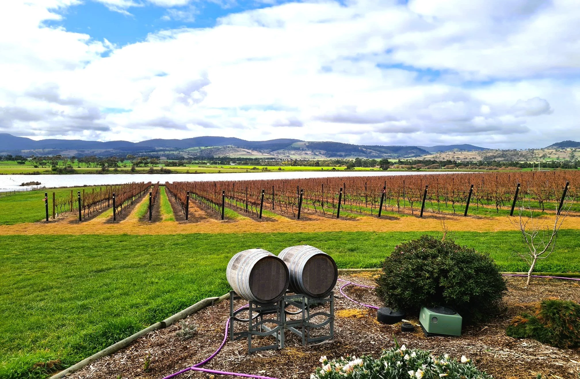 4 Days in Hobart: The Ultimate Long Weekend Itinerary