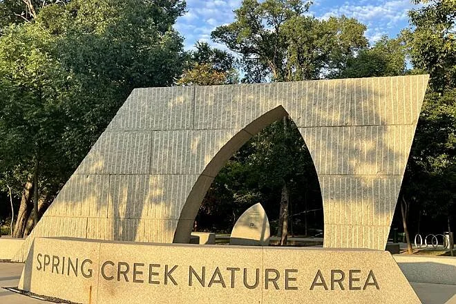 Mindful Walking BINGO!