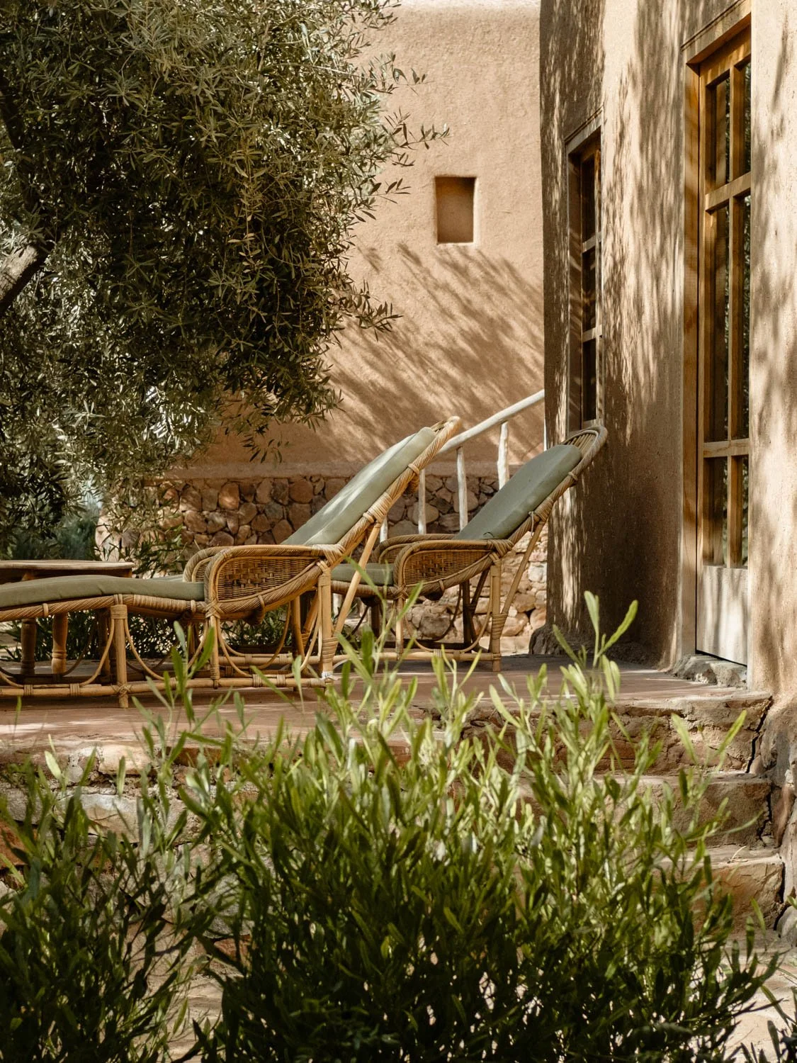 Private terrace at Berber Lodge near Marrakech, two chairs under an olive tree and warm natural light