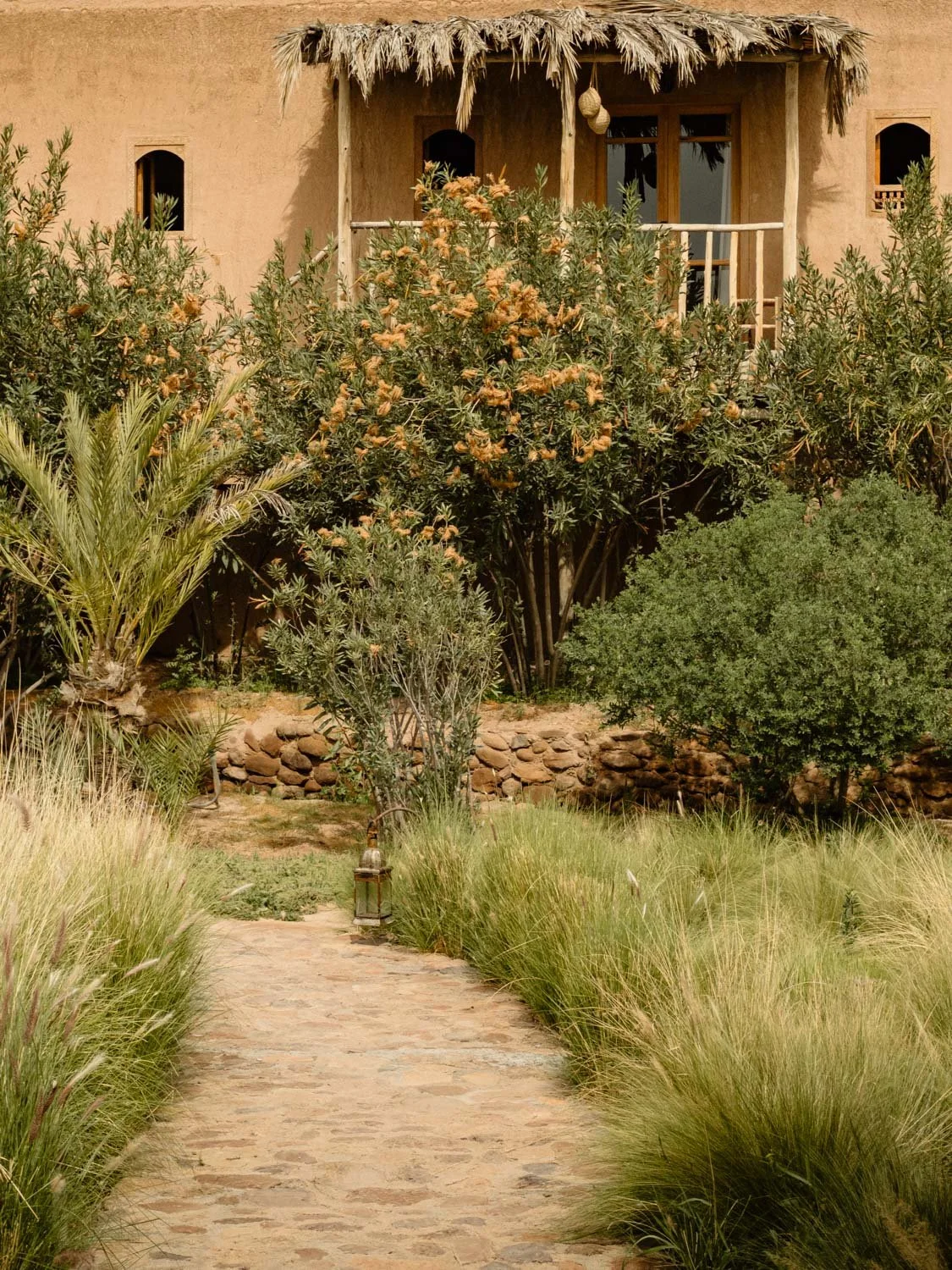 Courtyard path at Berber Lodge near Marrakech, leading to a bungalow and suite entrance