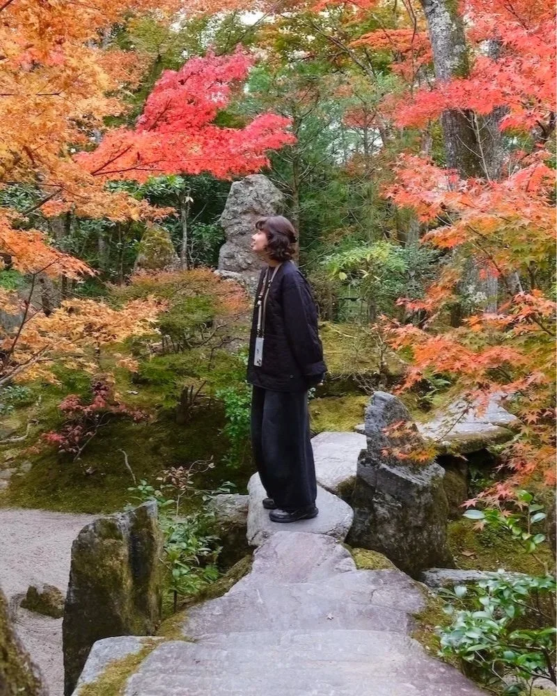 Japan — Inner Japan × Sensory Travel: traveler admiring autumn colors