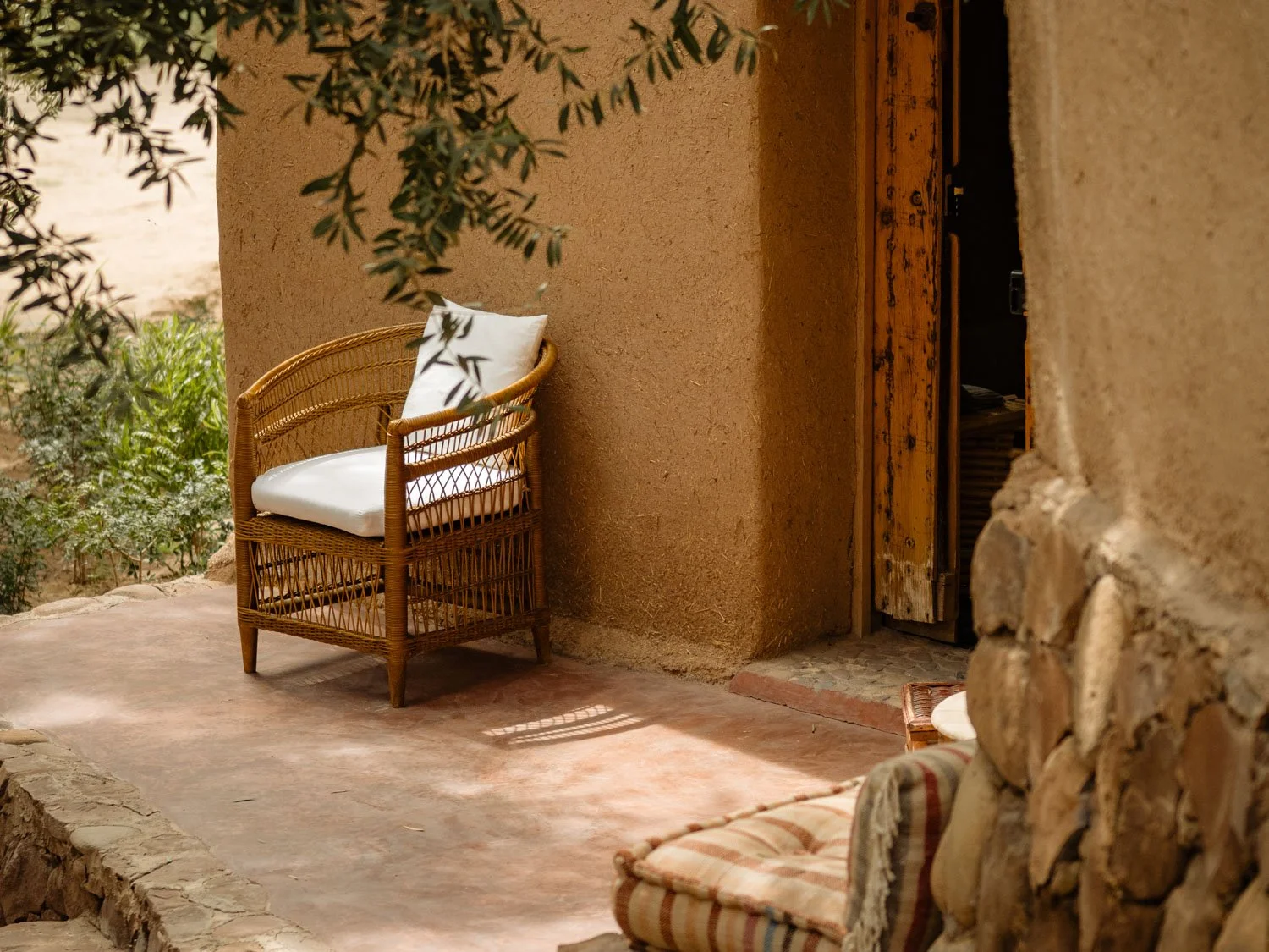 Rattan chair beneath an olive branch against a lime-plastered wall, with natural light revealing the textures of a Mediterranean-style courtyard.