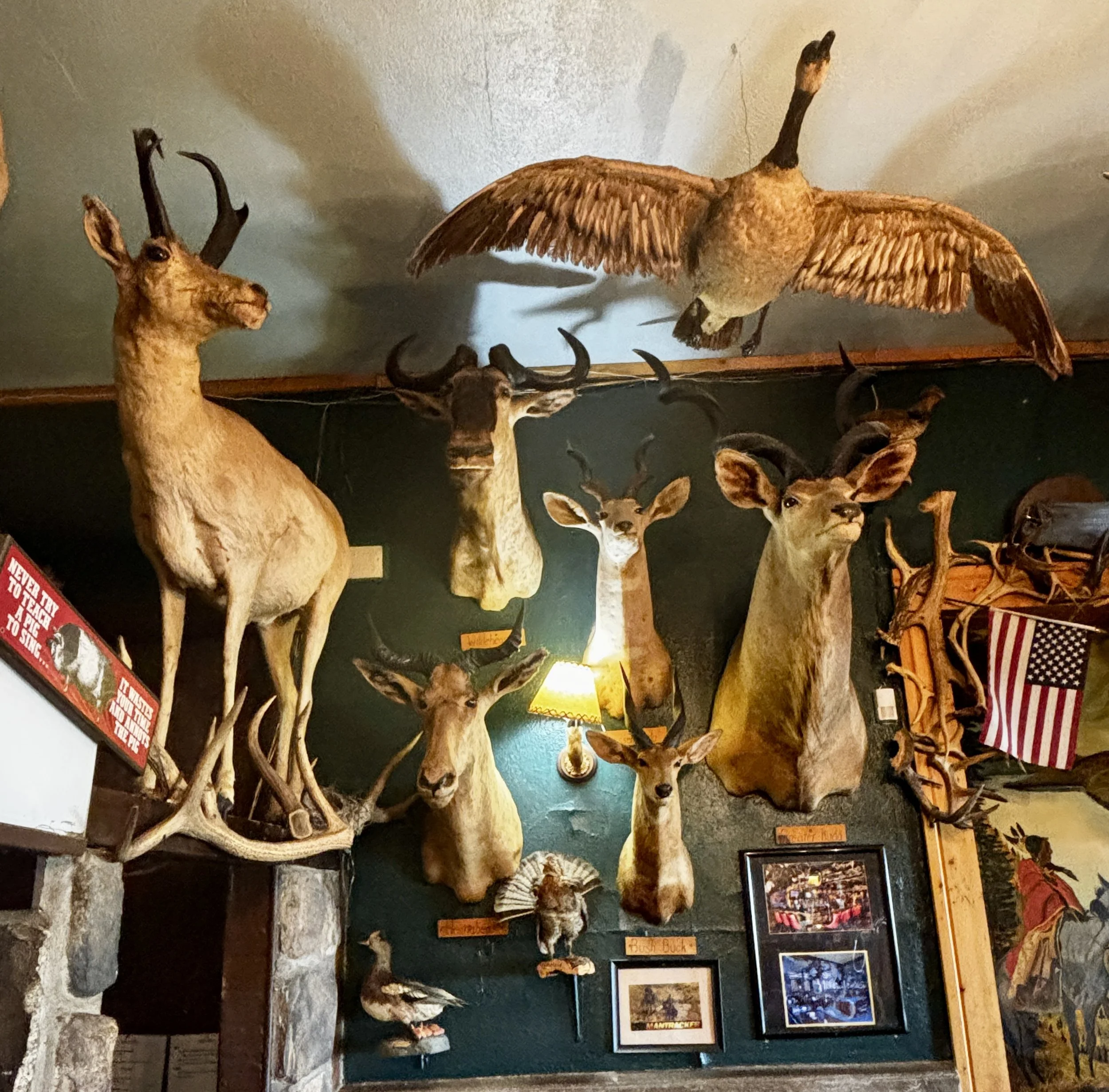 Mounts that inspire awe