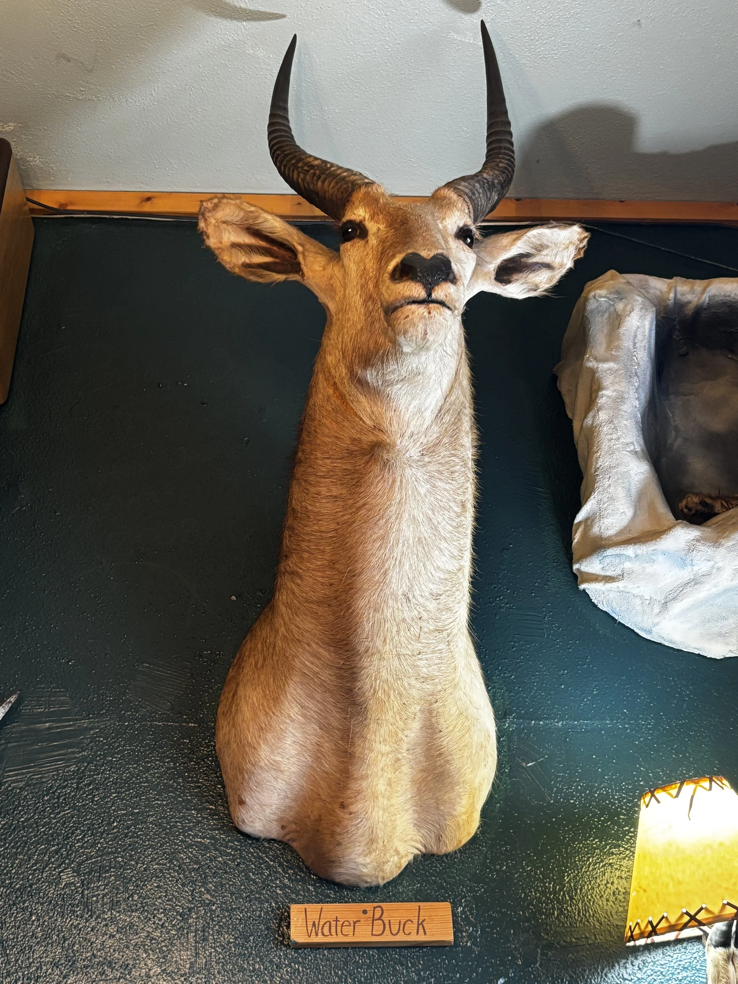 Wattar ya mean it cost an extra dollar.JPG