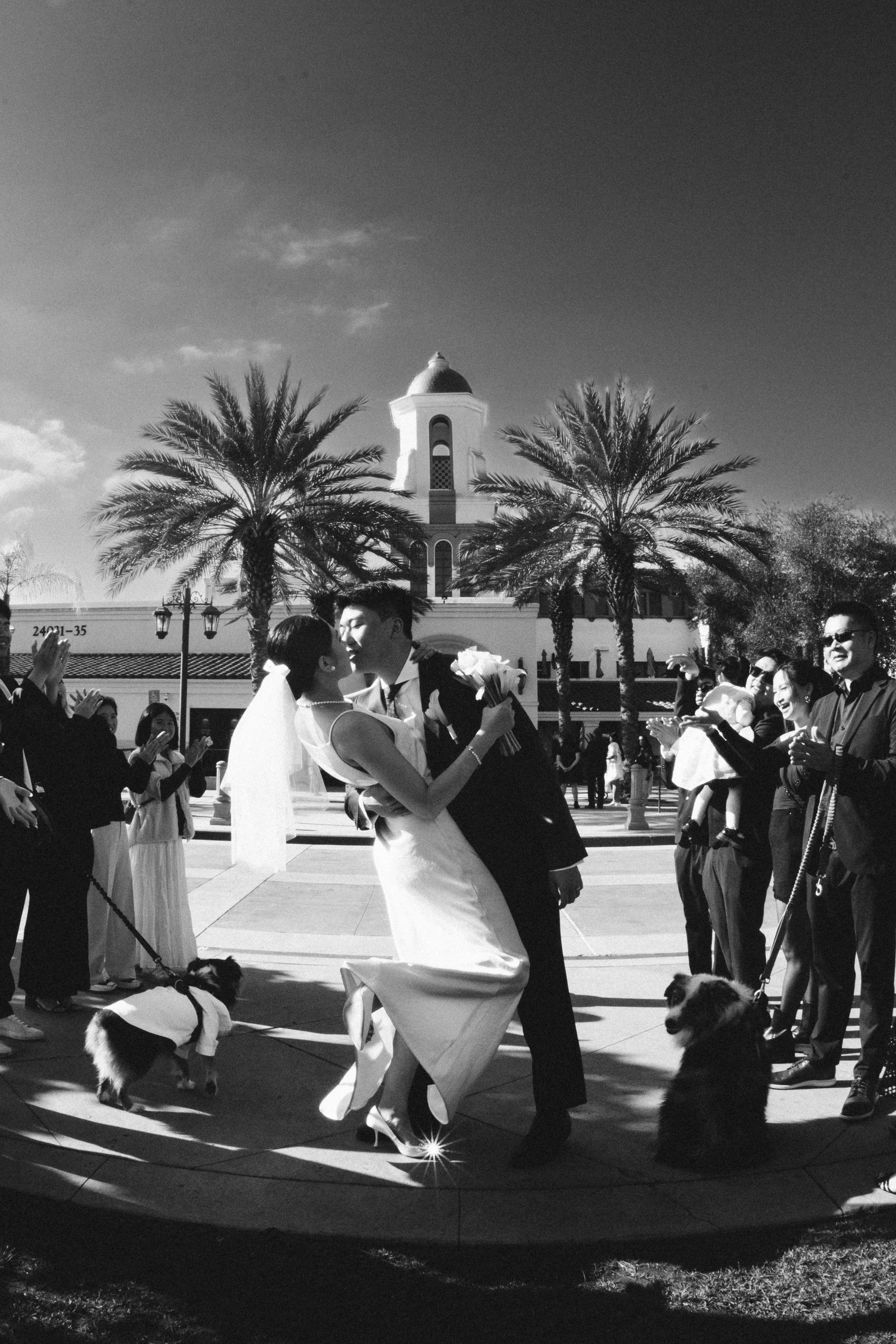 A black and white photo of a newlywed couple kissing during their wedding celebration, surrounded by friends and family clapping. The bride is wearing a white gown and veil, the groom is in a suit, and there are two dogs on leashes nearby. Palm trees
